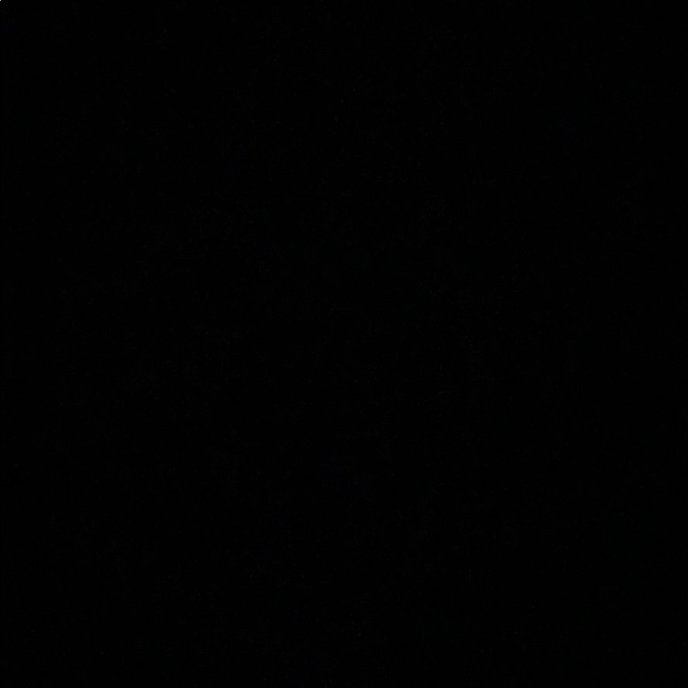 Meet your Posher, Lainey